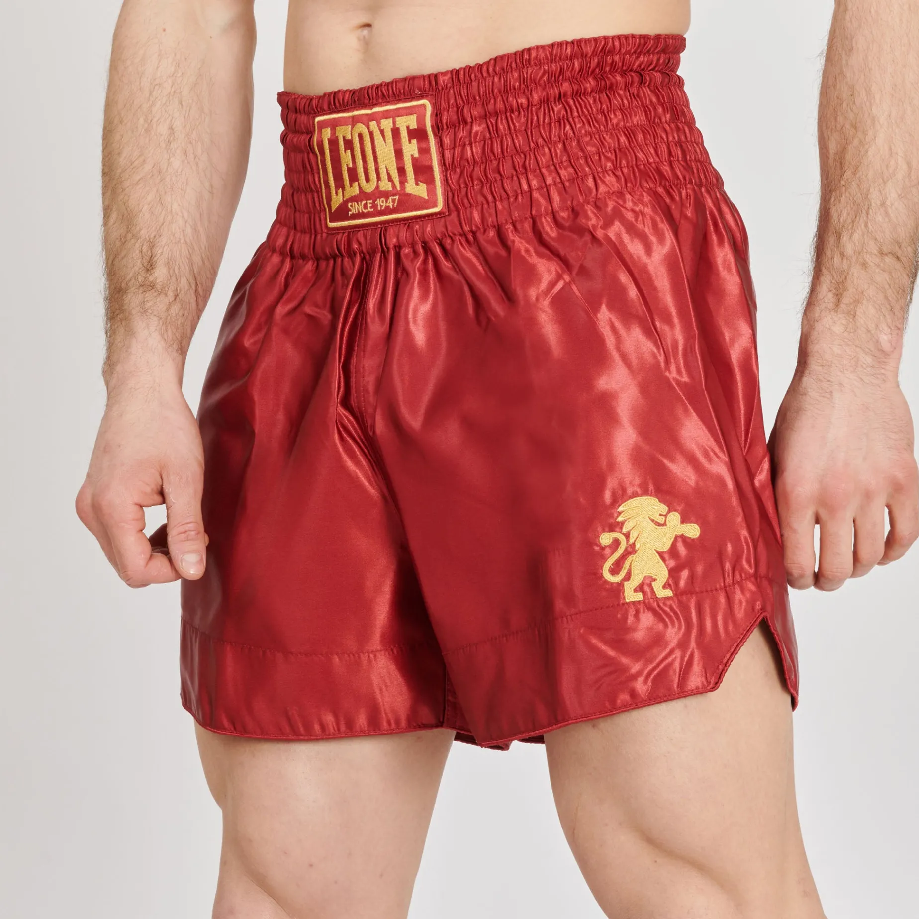 BASIC 2 KICK SHORTS