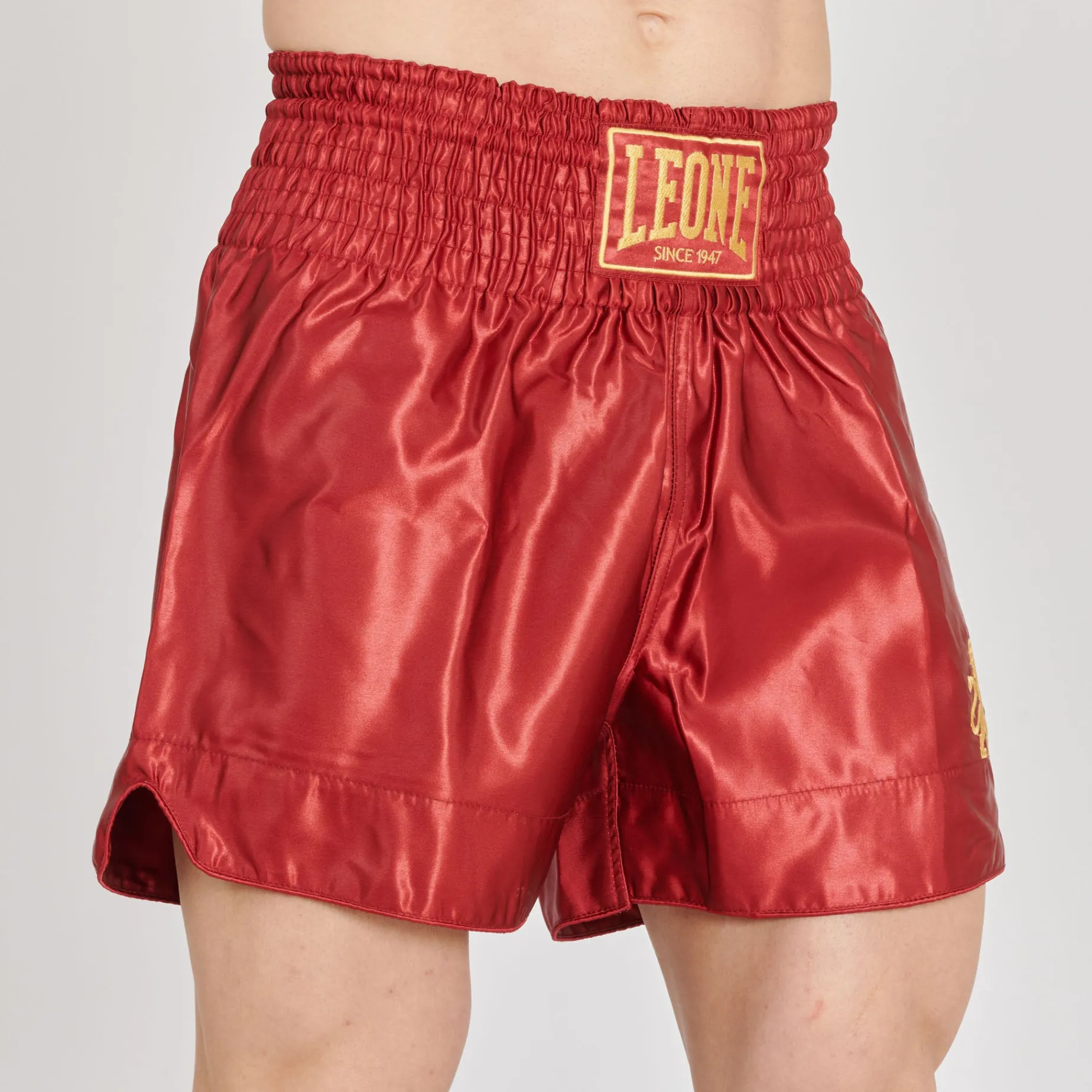 BASIC 2 KICK SHORTS
