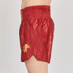 BASIC 2 KICK SHORTS