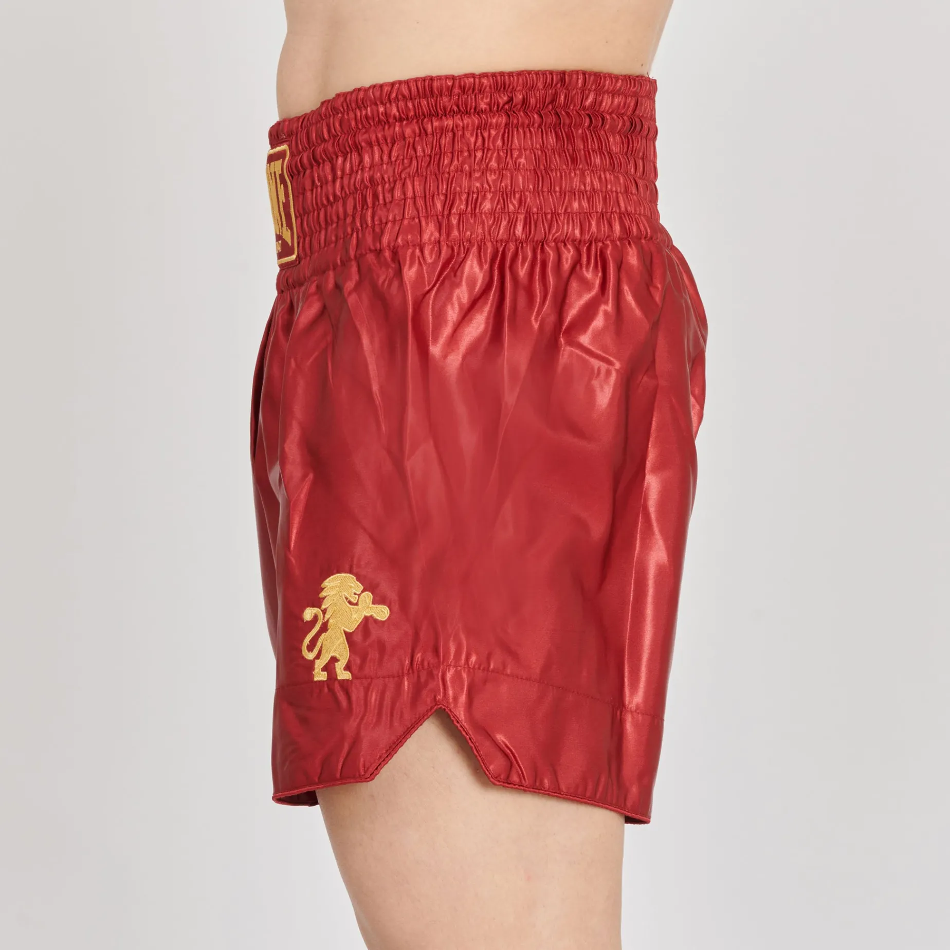 BASIC 2 KICK SHORTS