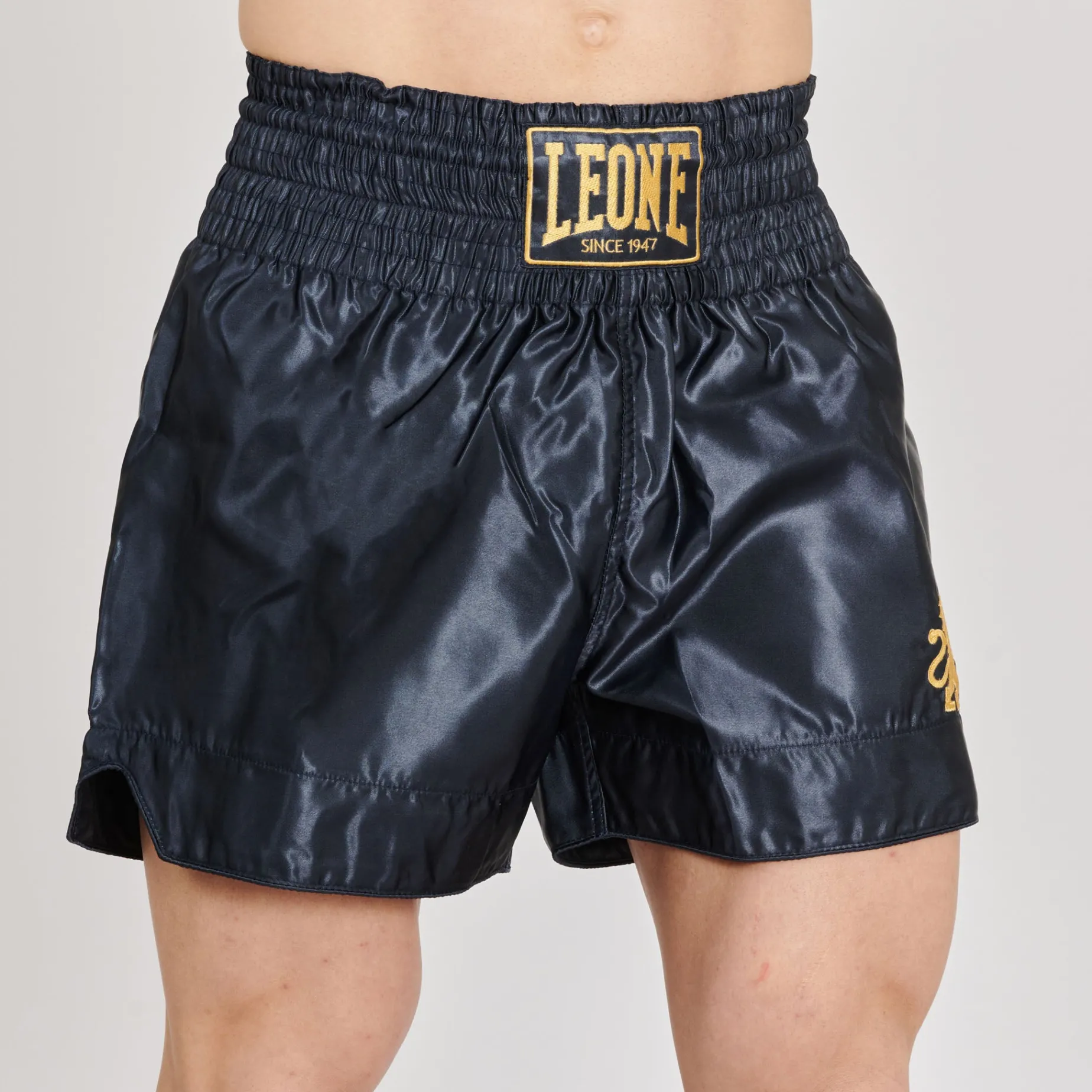 BASIC 2 KICK SHORTS