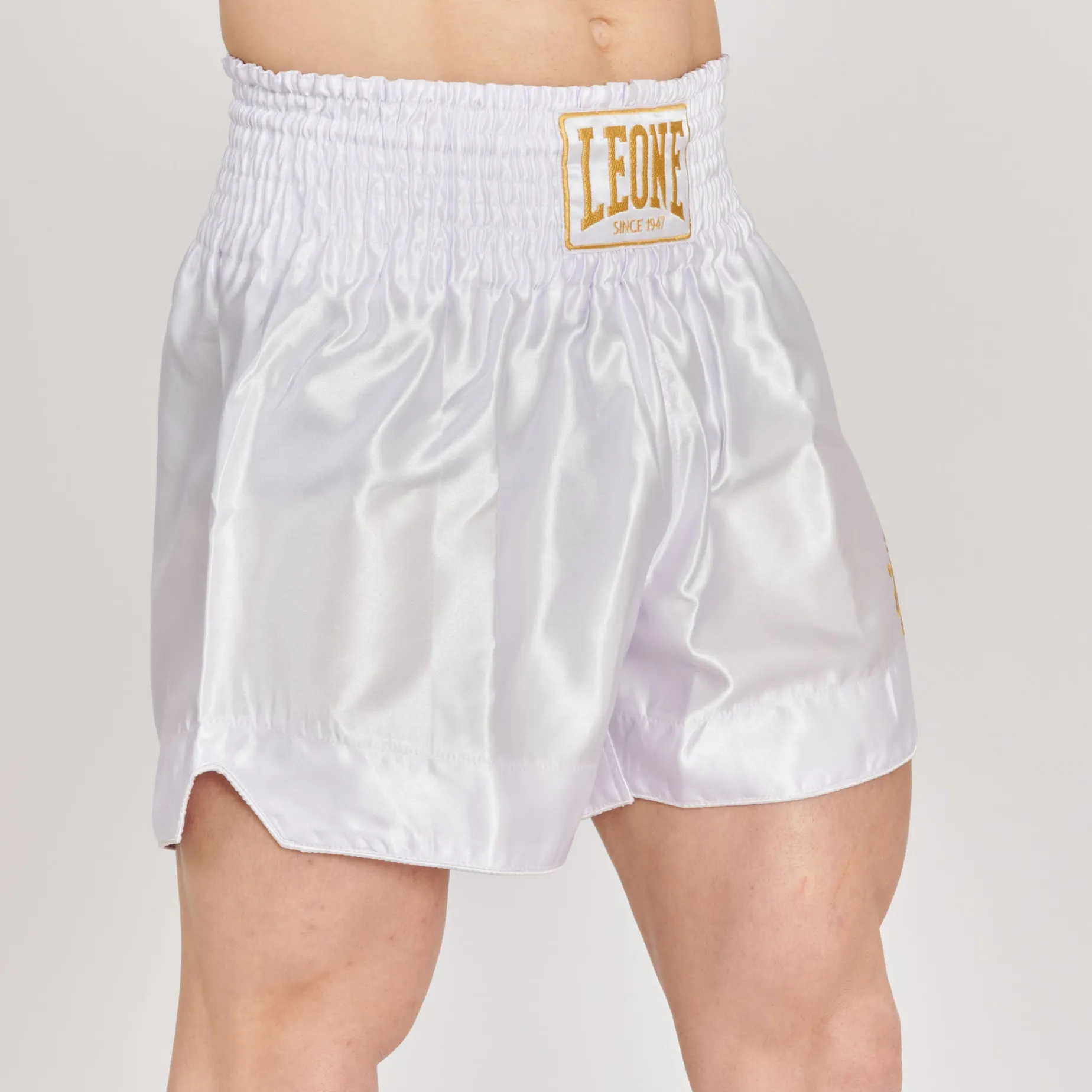 BASIC 2 KICK SHORTS