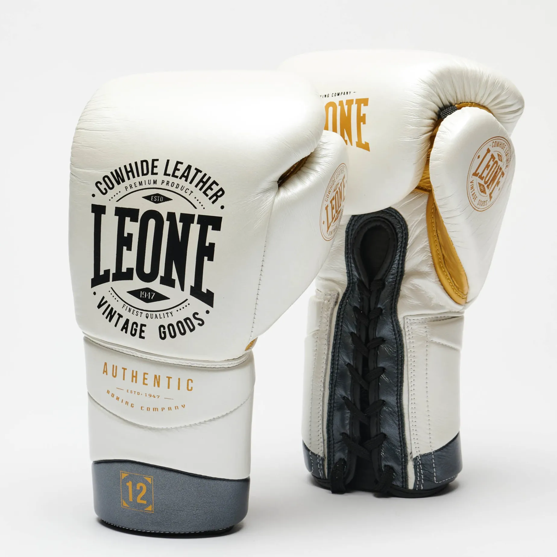 BOXING GLOVES AUTHENTIC 2