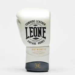 BOXING GLOVES AUTHENTIC 2