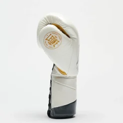 BOXING GLOVES AUTHENTIC 2