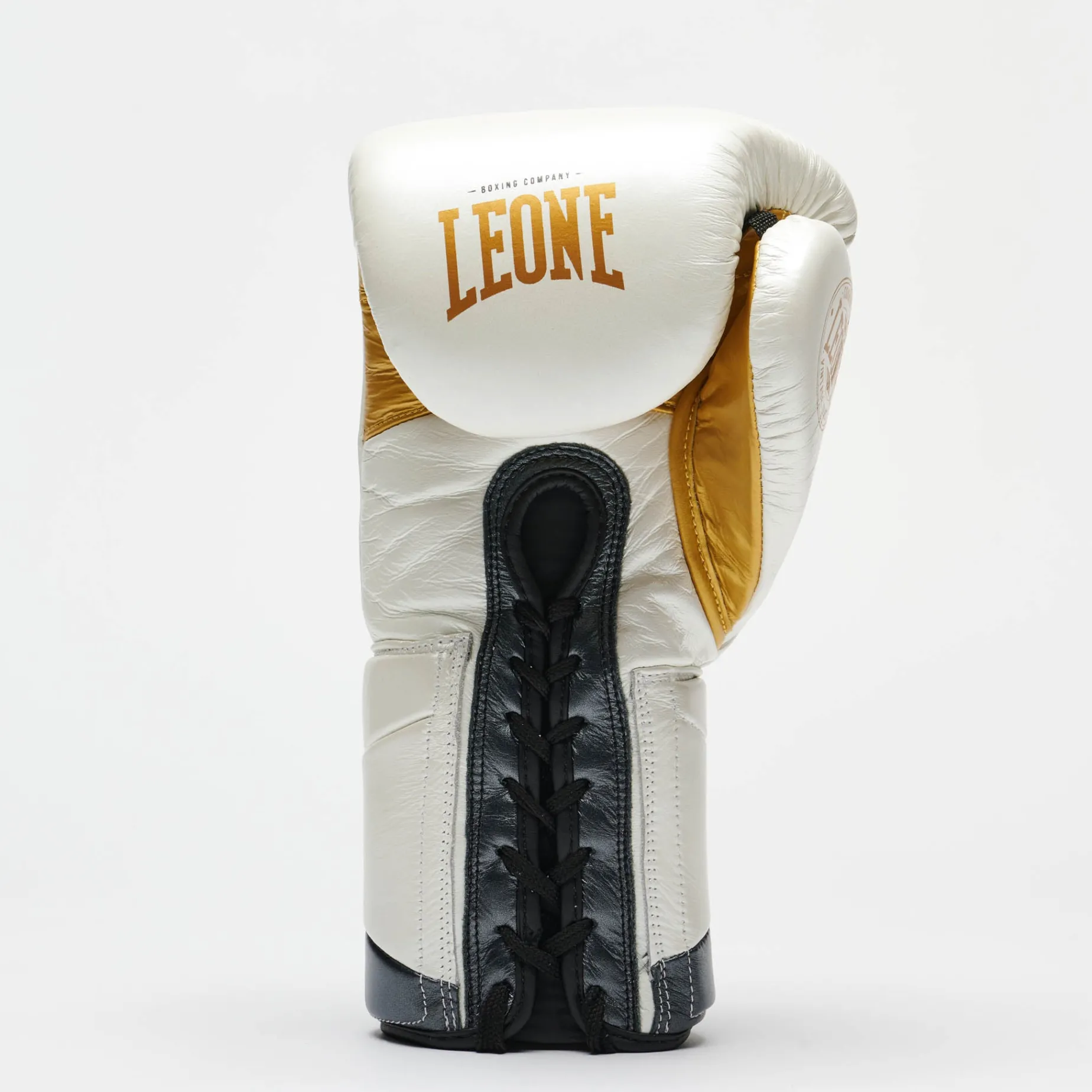 BOXING GLOVES AUTHENTIC 2