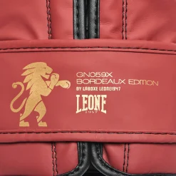 BOXING GLOVES