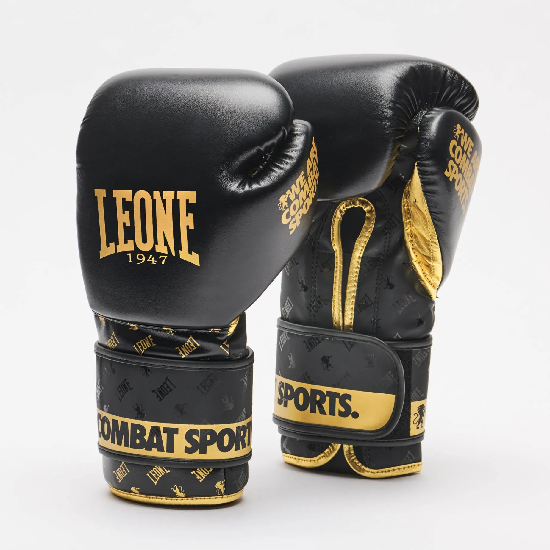 BOXING GLOVES DNA