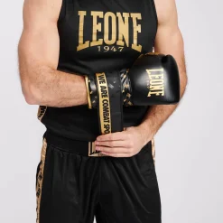 BOXING GLOVES DNA