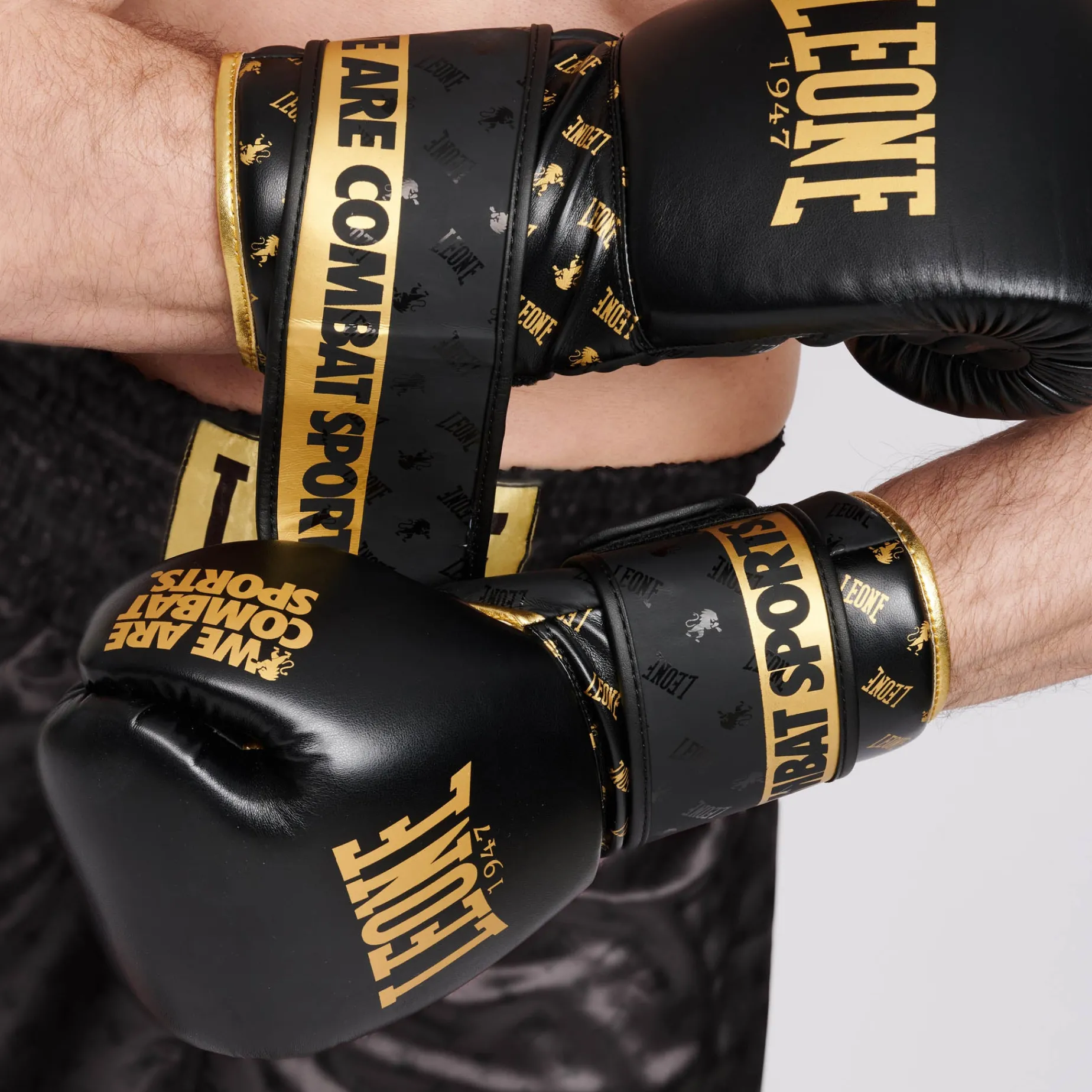 BOXING GLOVES DNA