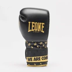 BOXING GLOVES DNA