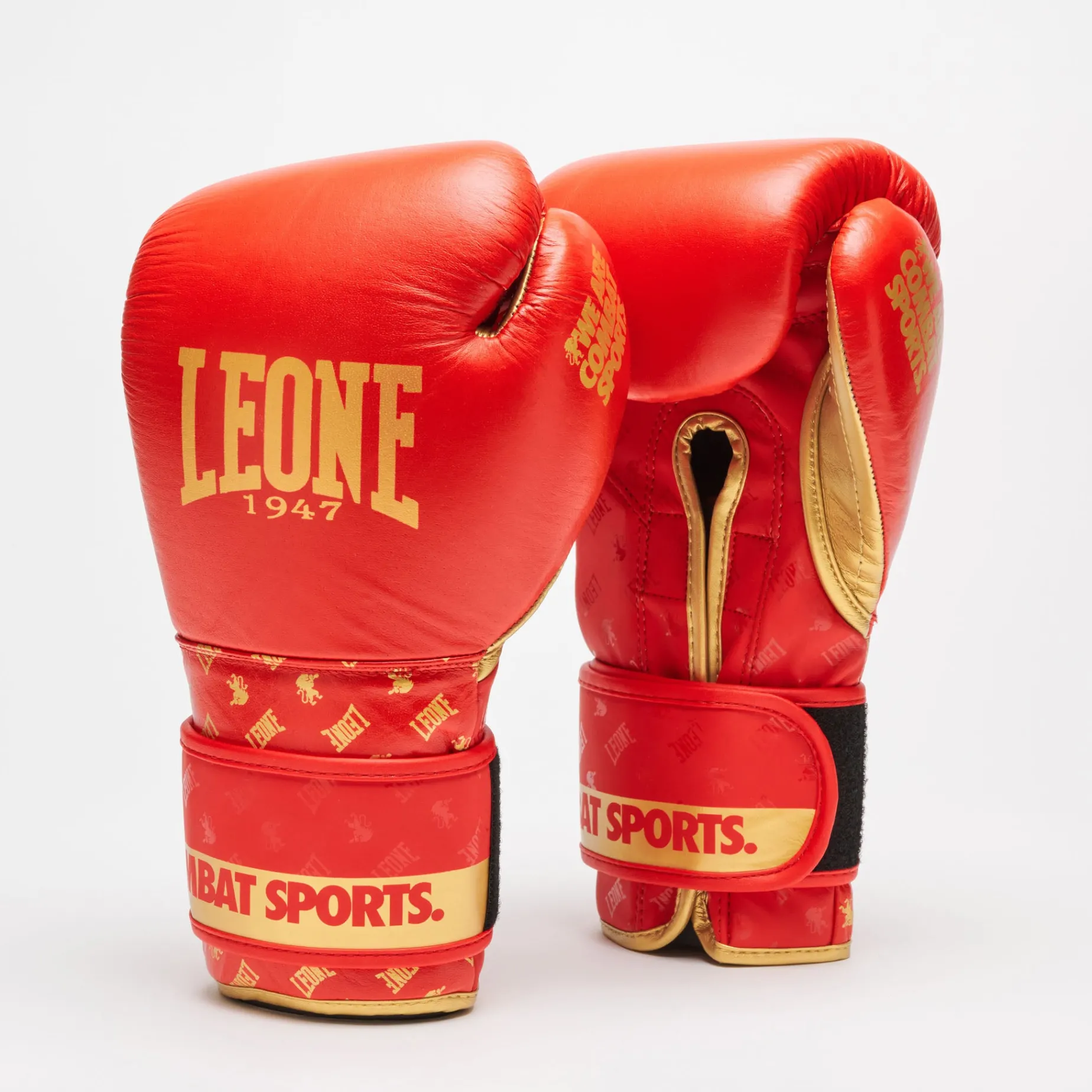 BOXING GLOVES DNA