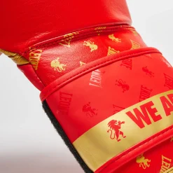 BOXING GLOVES DNA