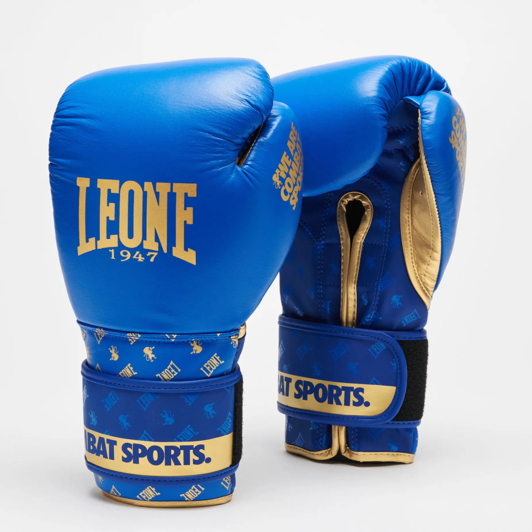 BOXING GLOVES DNA