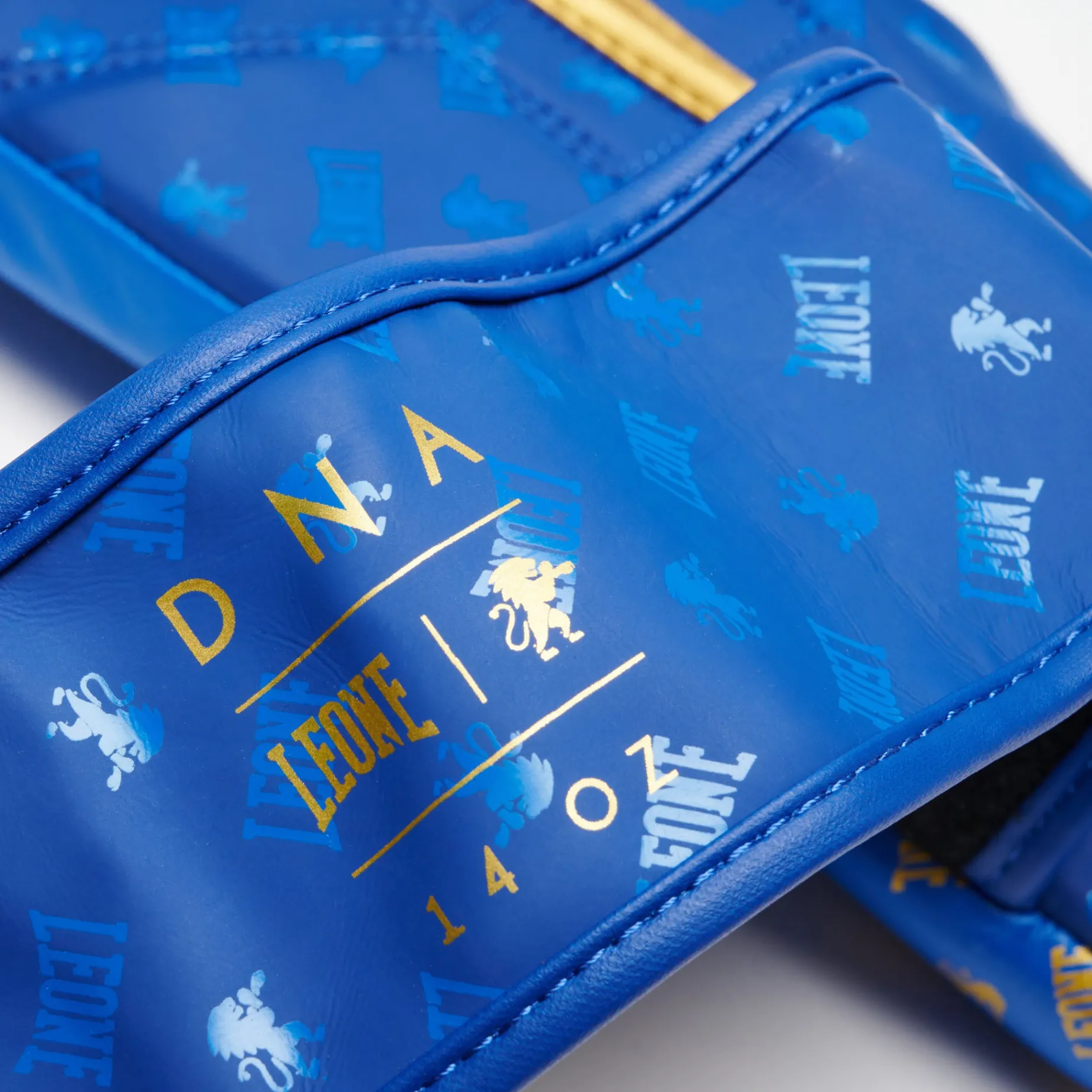BOXING GLOVES DNA