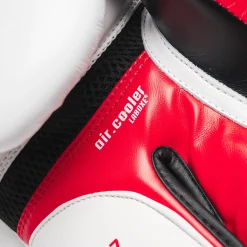 BOXING GLOVES IL TECNICO N3