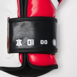 BOXING GLOVES IL TECNICO N3