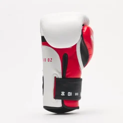 BOXING GLOVES IL TECNICO N3