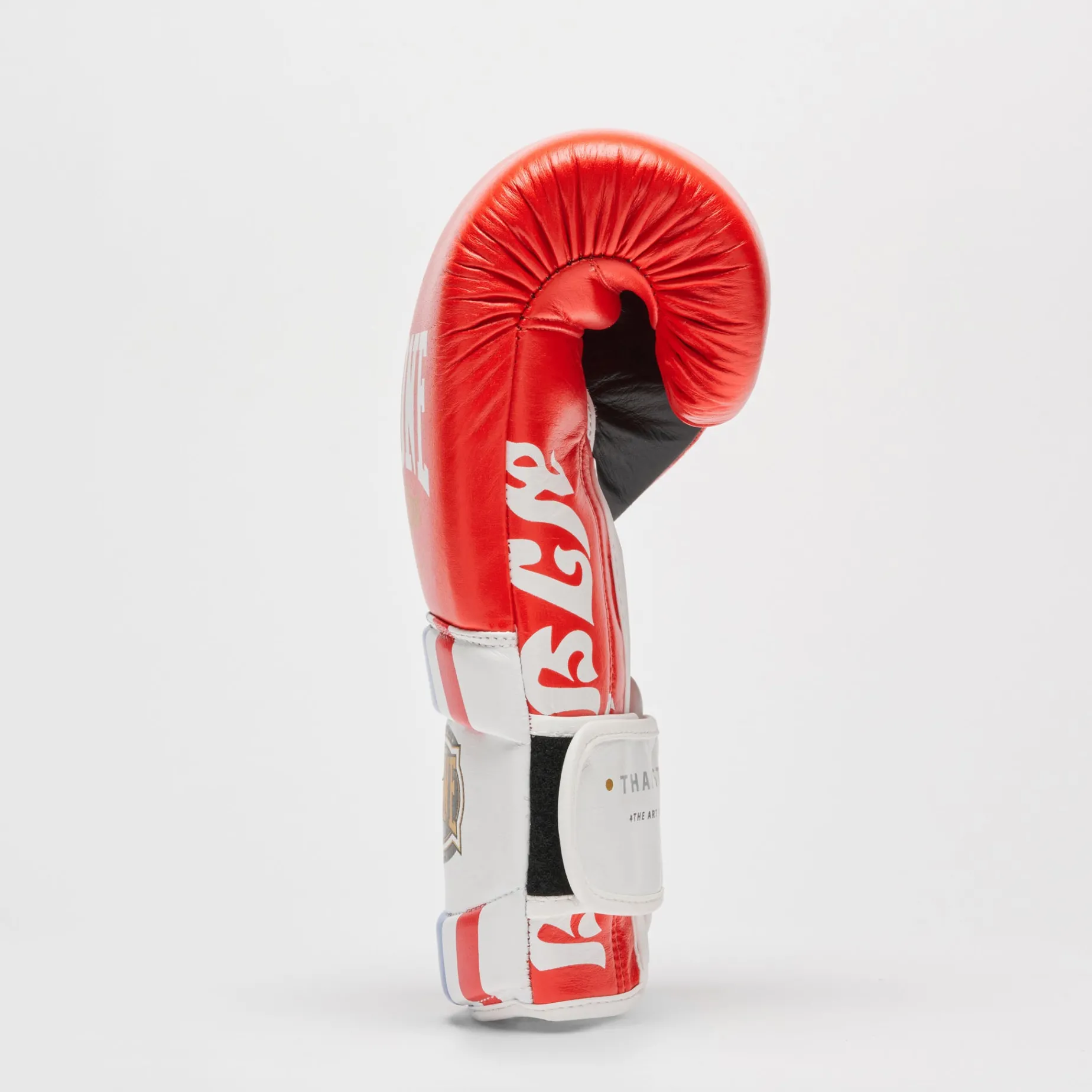 BOXING GLOVES THAI STYLE