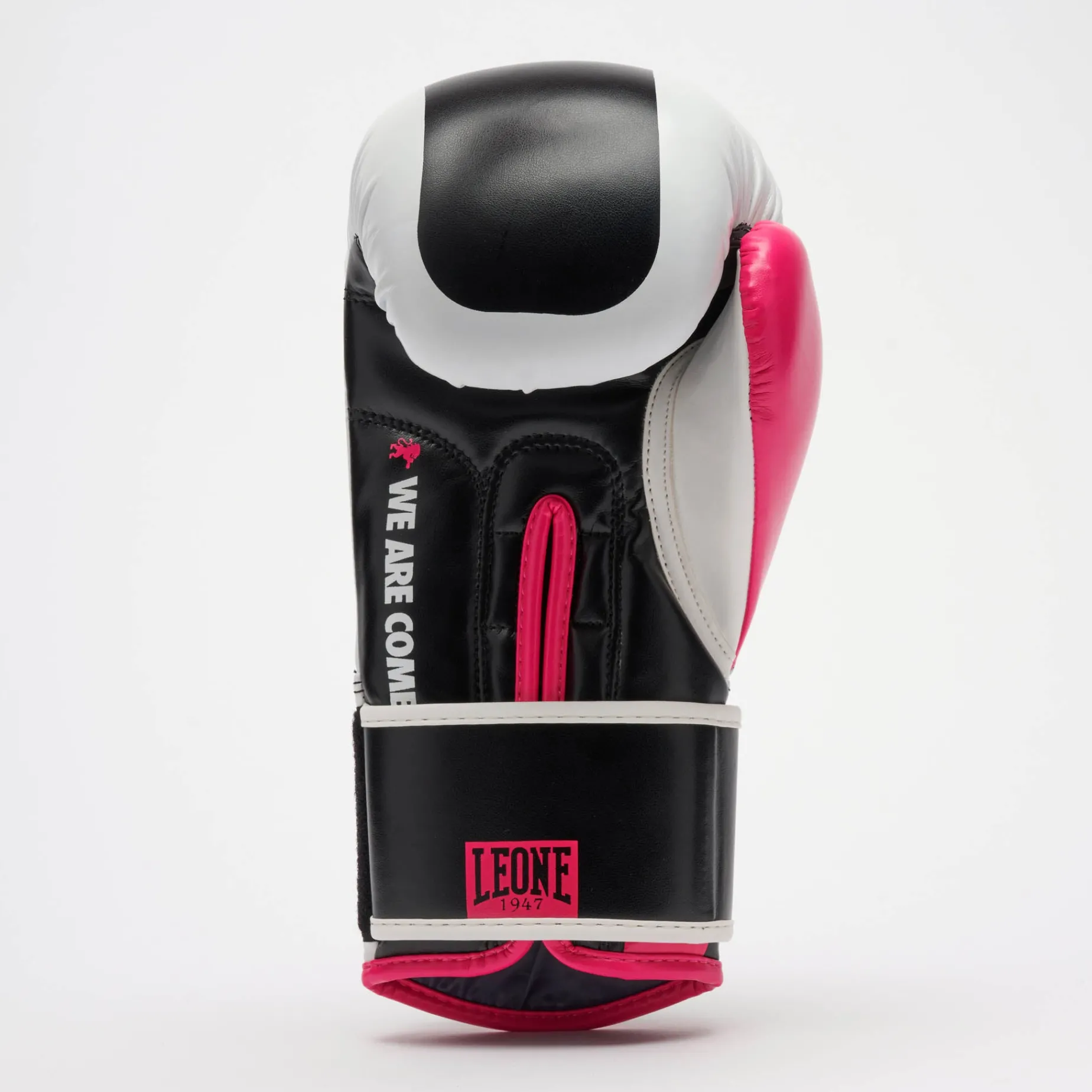 COLOR BLOCK BOXING GLOVES