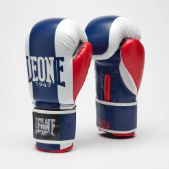 COLOR BLOCK BOXING GLOVES