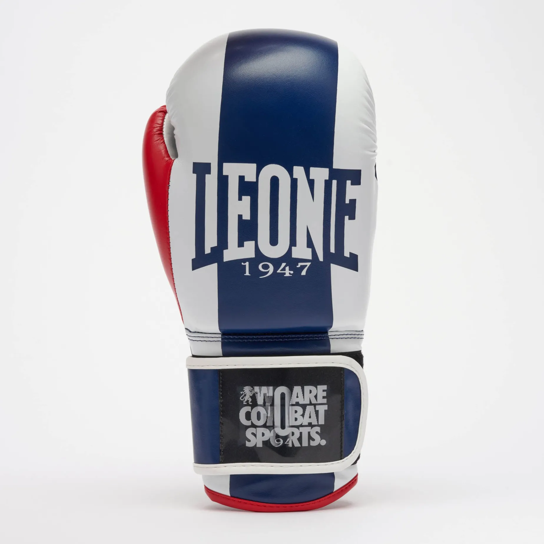 COLOR BLOCK BOXING GLOVES