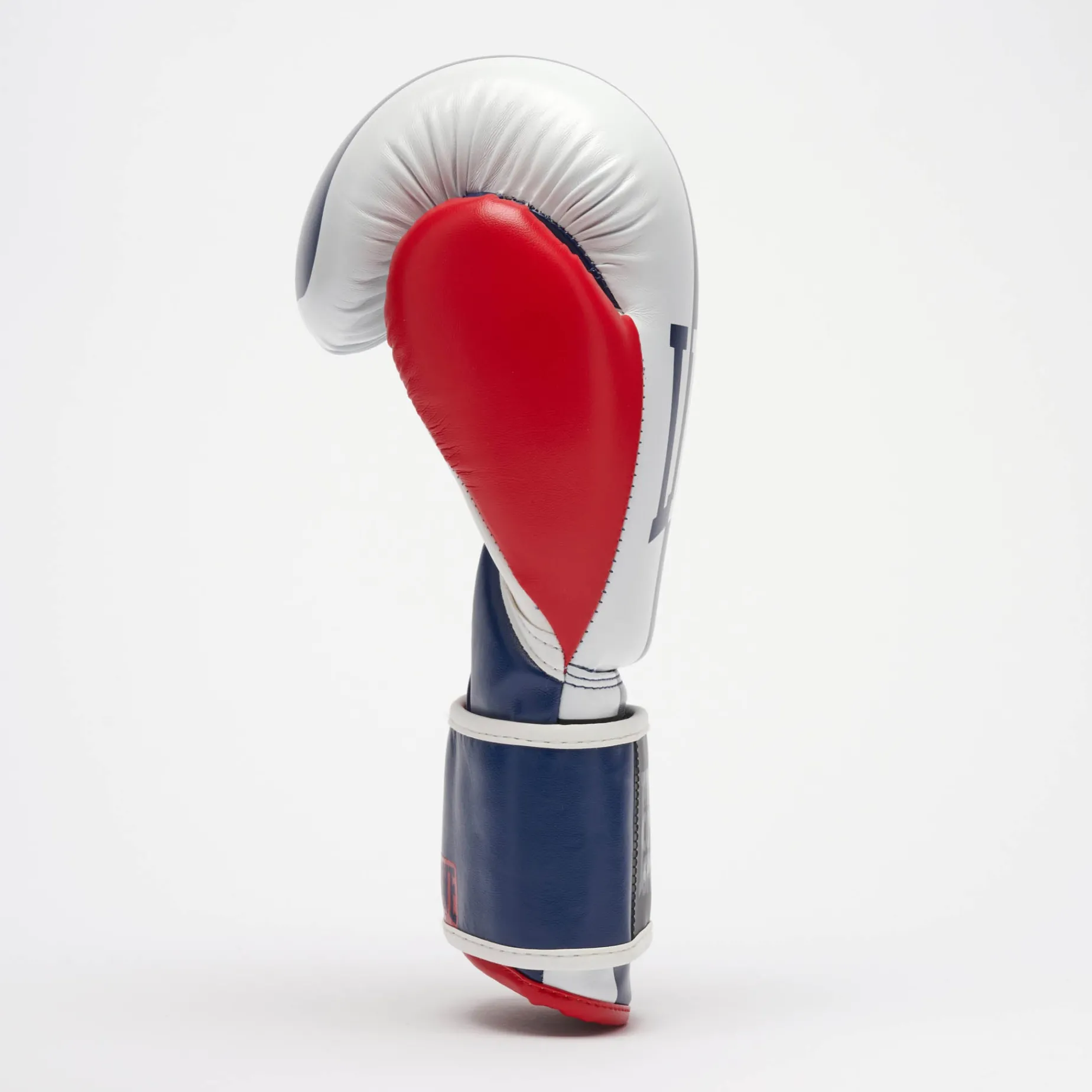 COLOR BLOCK BOXING GLOVES