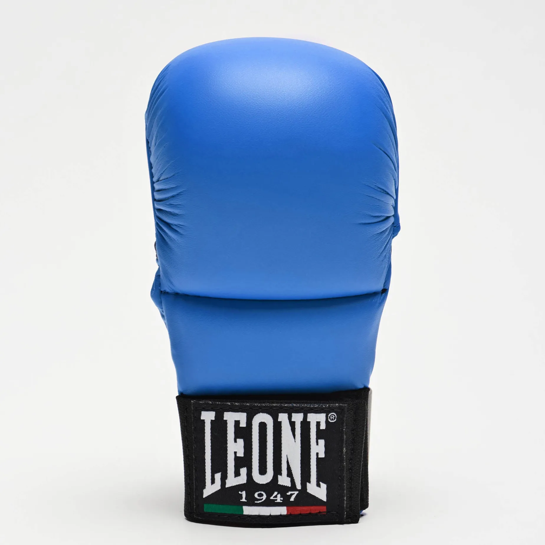 FIT/KARATE GLOVES
