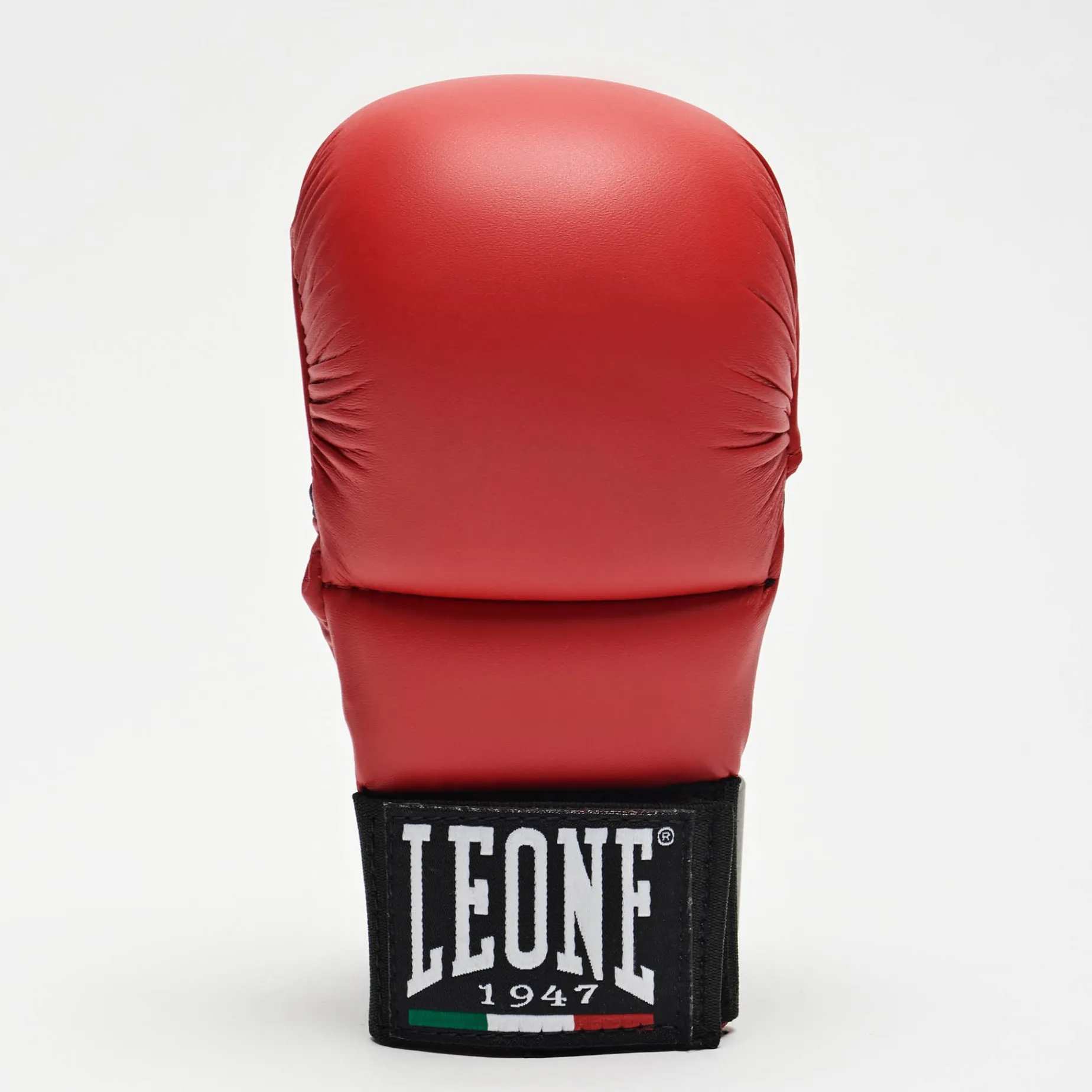 FIT/KARATE GLOVES