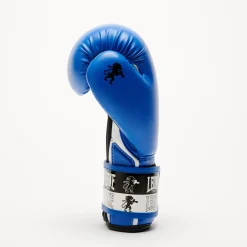 ICONIC BOXING GLOVES