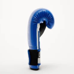 ICONIC BOXING GLOVES