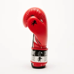 ICONIC BOXING GLOVES