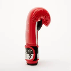 ICONIC BOXING GLOVES