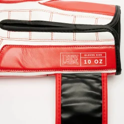 ICONIC BOXING GLOVES