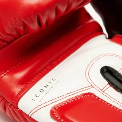 ICONIC BOXING GLOVES