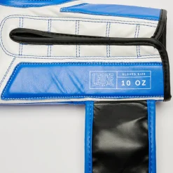 ICONIC BOXING GLOVES
