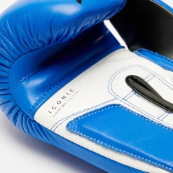 ICONIC BOXING GLOVES