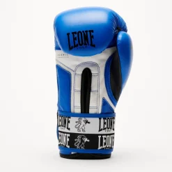 ICONIC BOXING GLOVES