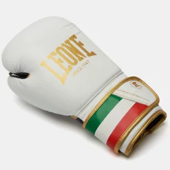 ITALY'47 BOXING GLOVES