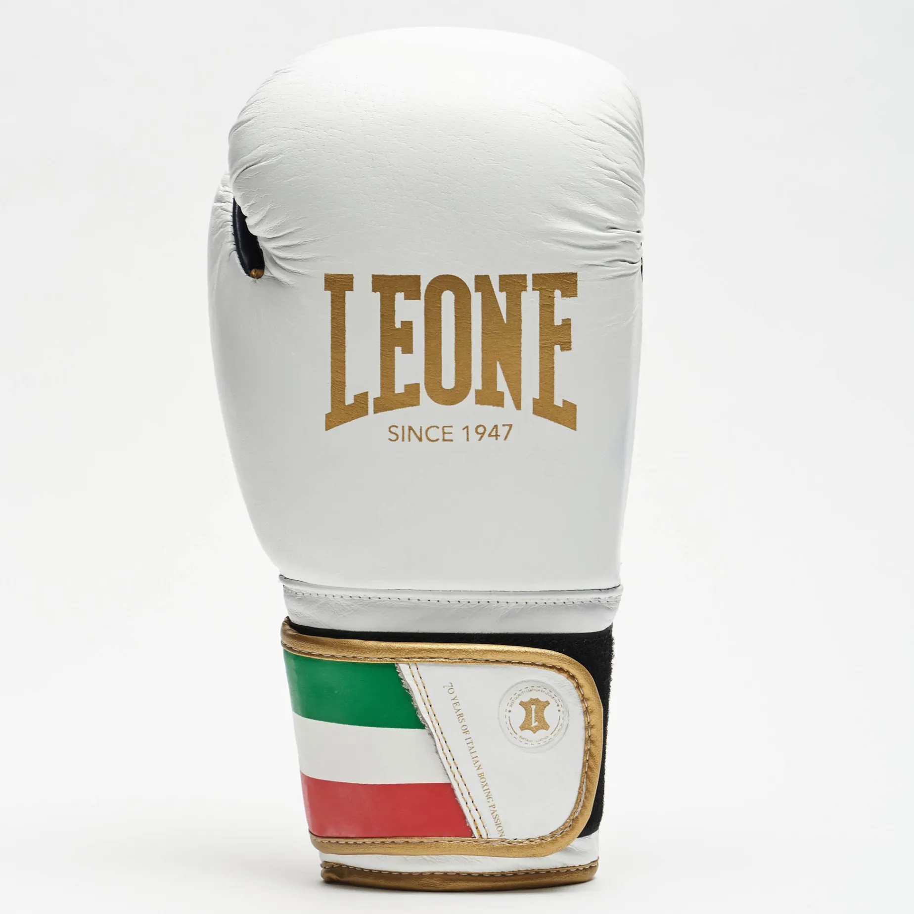 ITALY'47 BOXING GLOVES