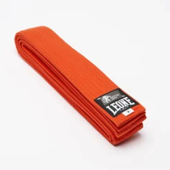 KARATE JUDO BELT