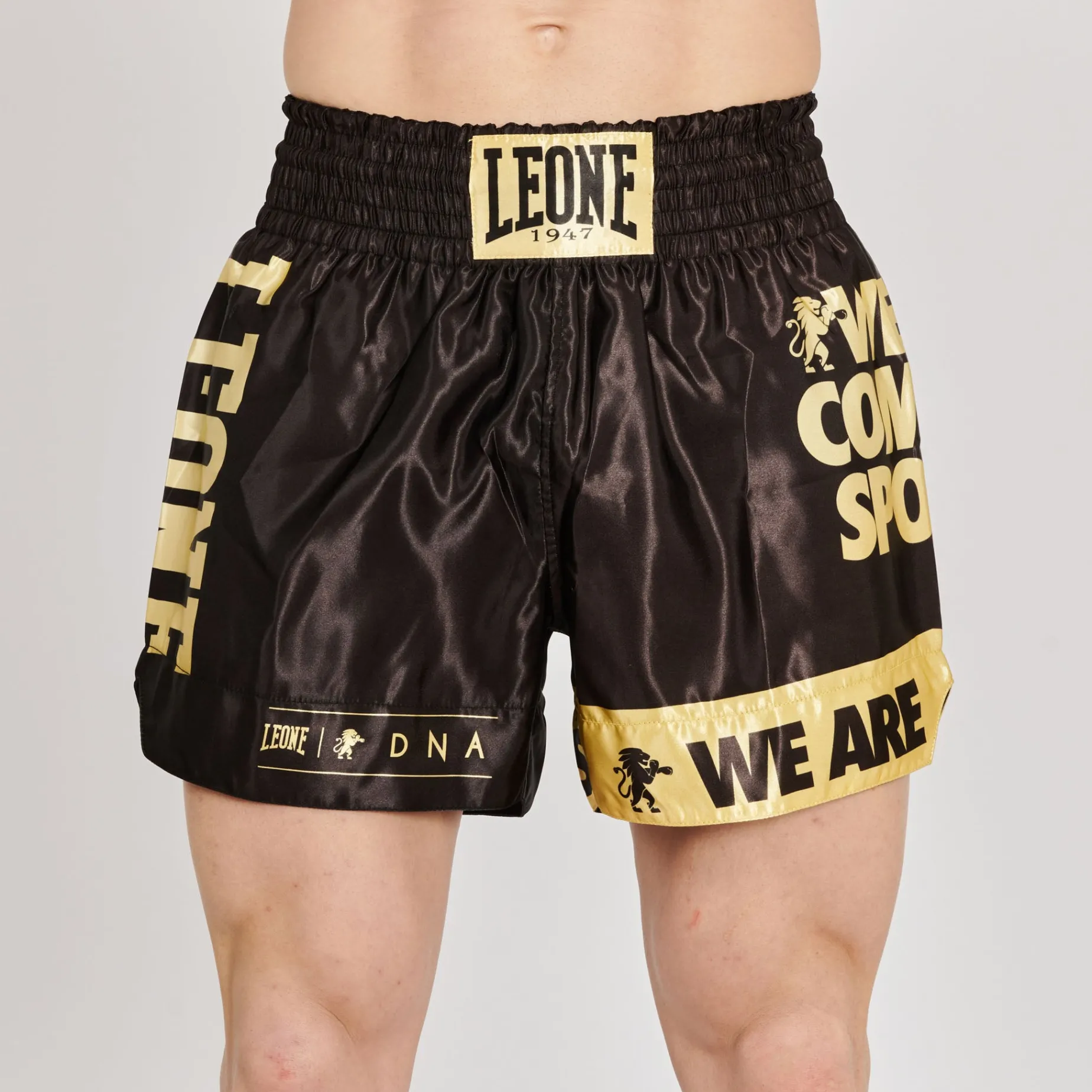 KICK-THAI SHORTS DNA