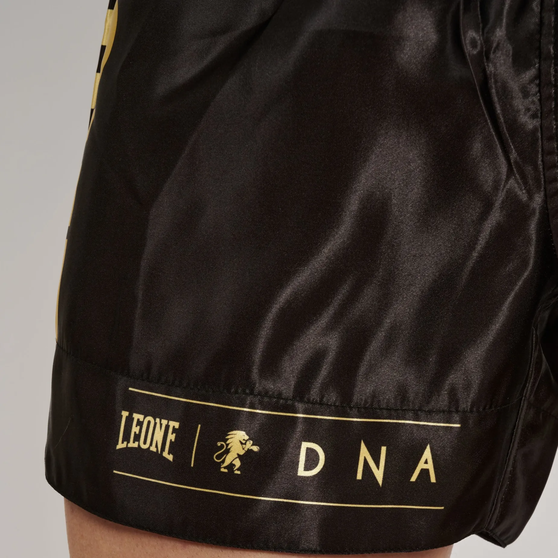 KICK-THAI SHORTS DNA