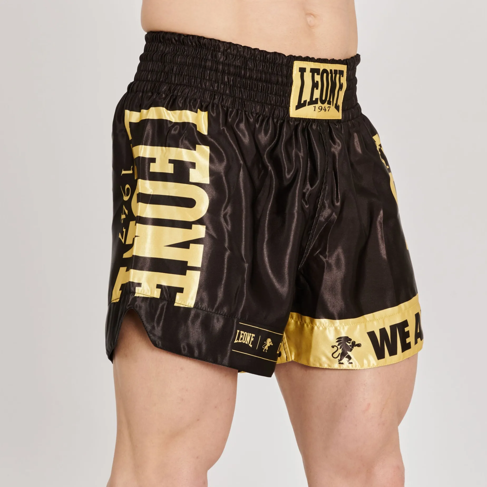 KICK-THAI SHORTS DNA