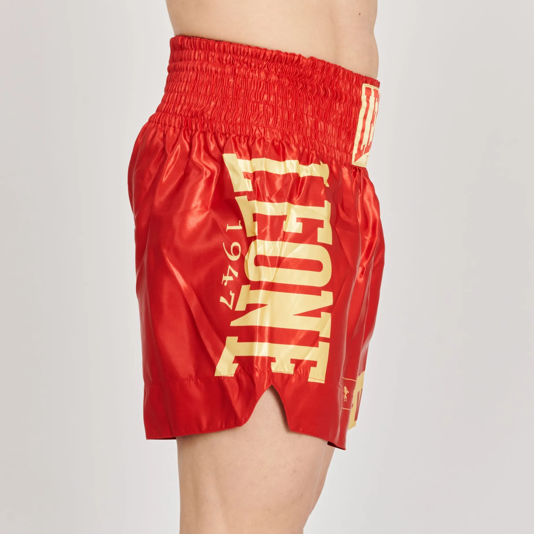 KICK-THAI SHORTS DNA