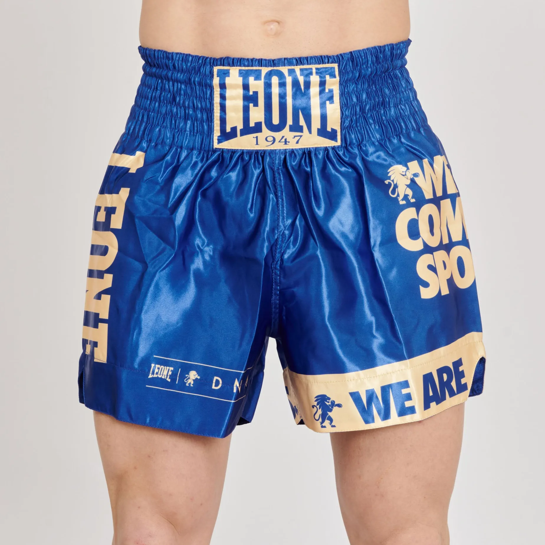 KICK-THAI SHORTS DNA