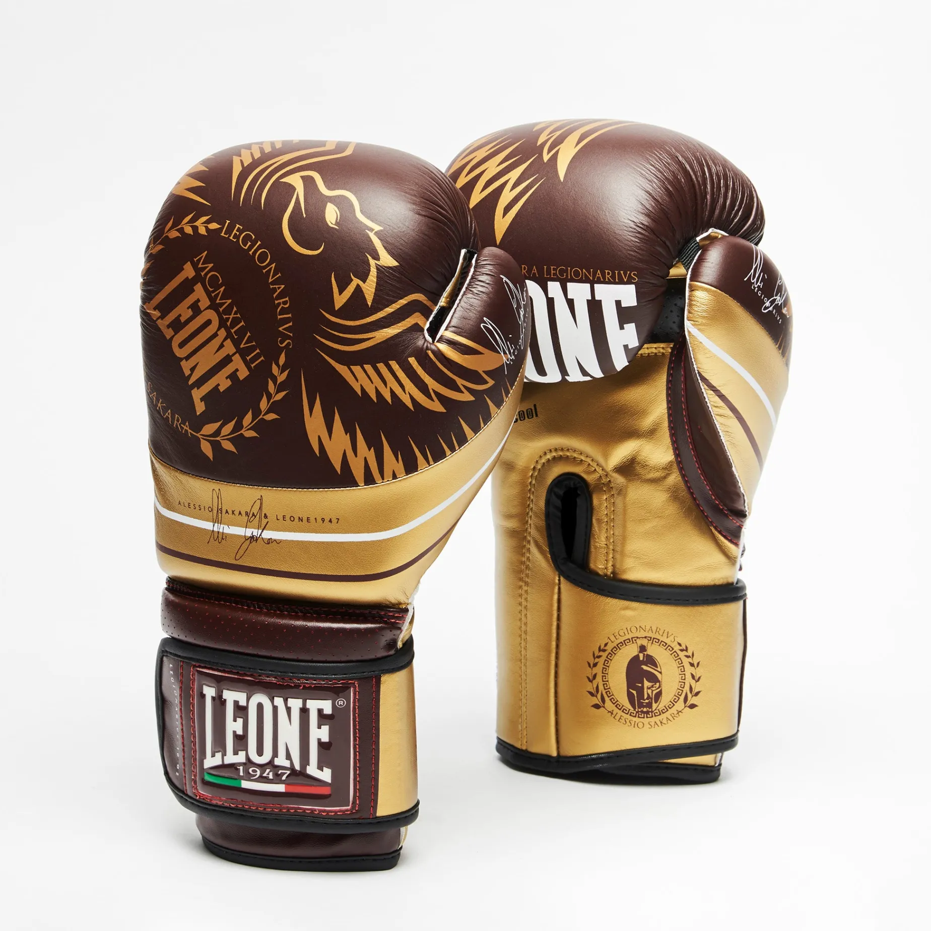 LEGIONARIVS BOXING GLOVES