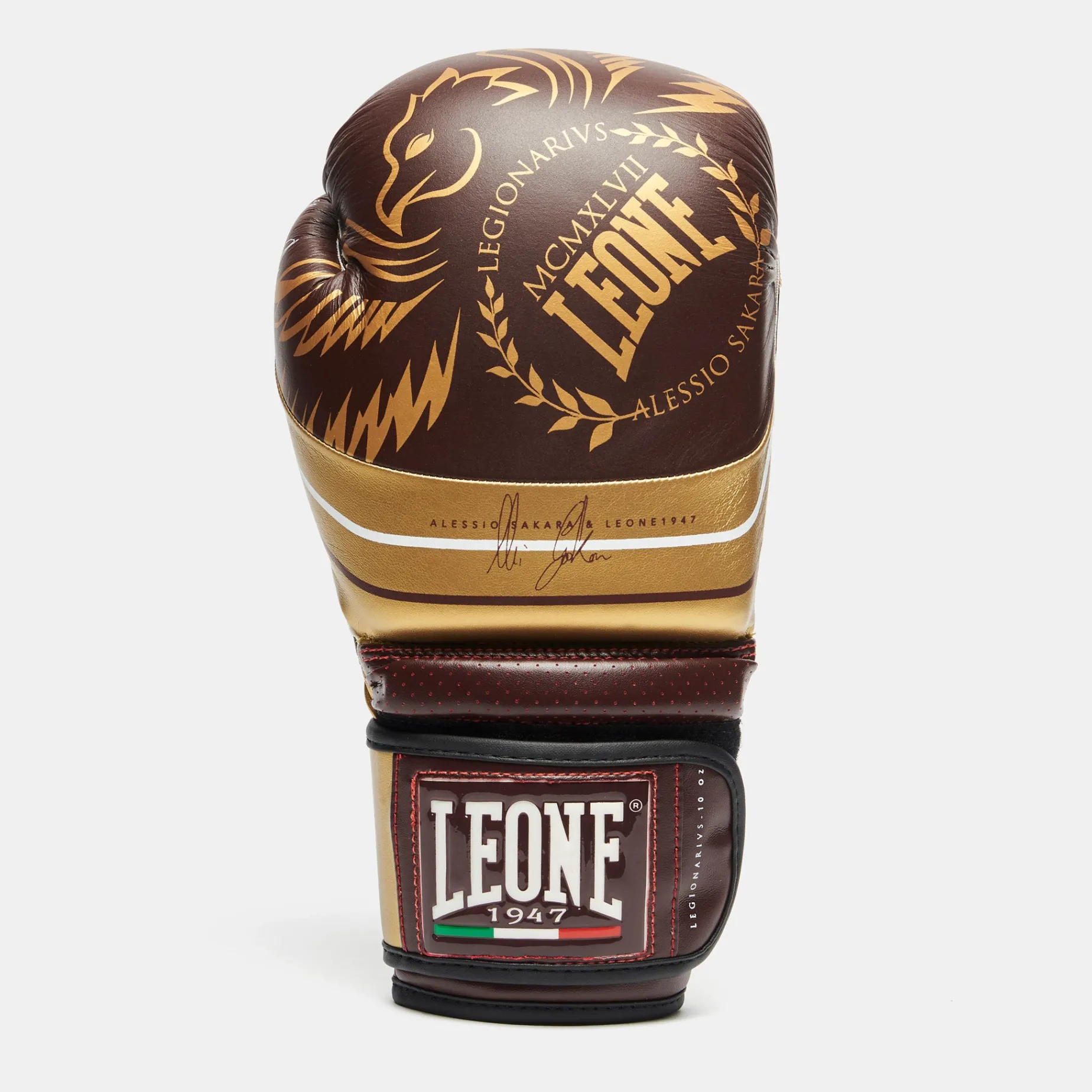 LEGIONARIVS BOXING GLOVES