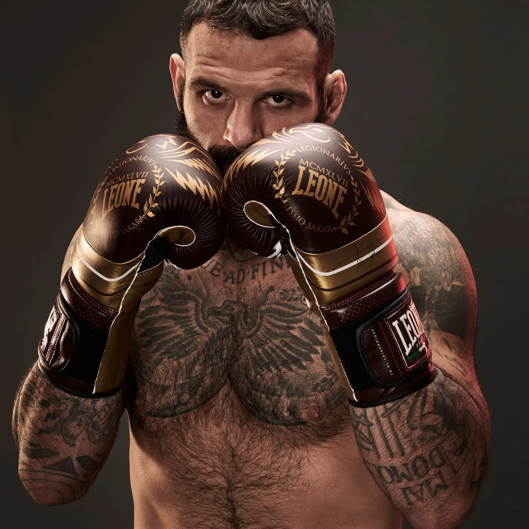 LEGIONARIVS BOXING GLOVES