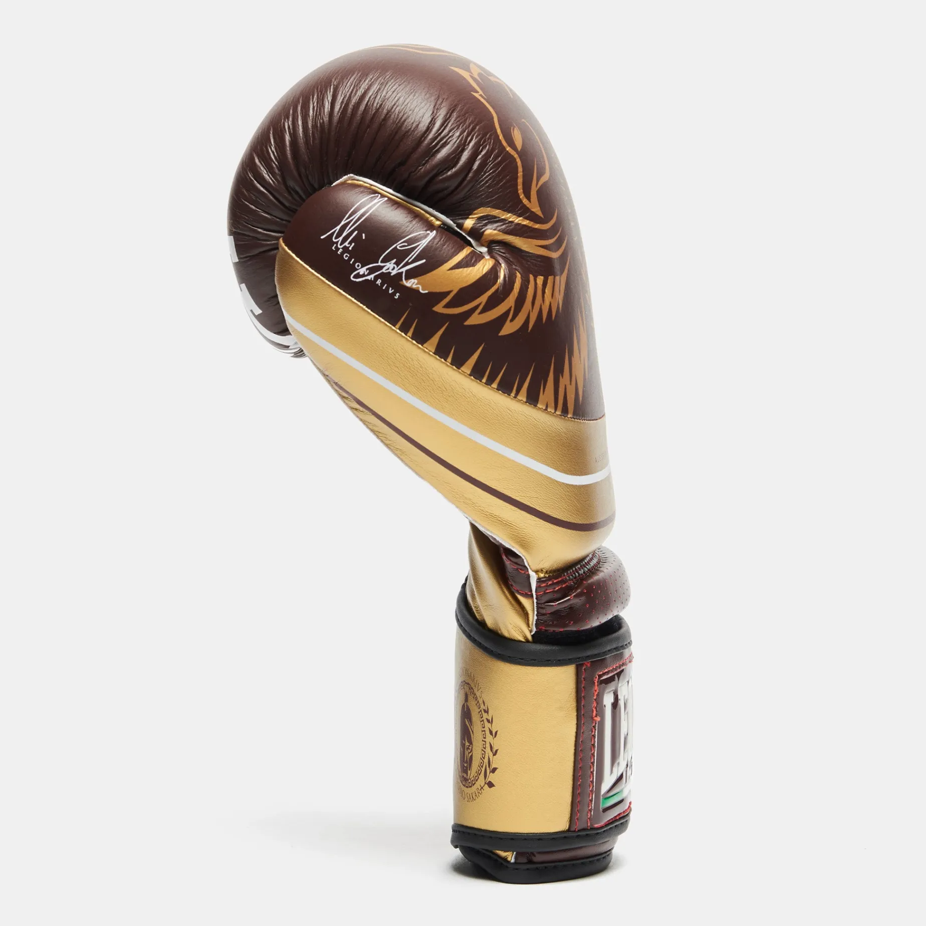 LEGIONARIVS BOXING GLOVES